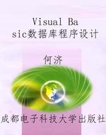 Visual Basic数据库程