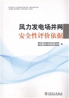 风力发电场并网安全性