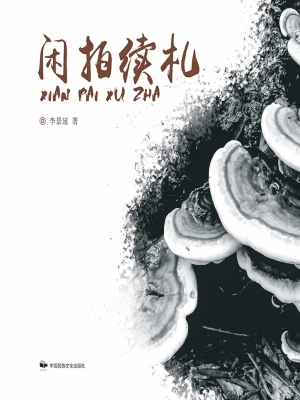 闲拍续札