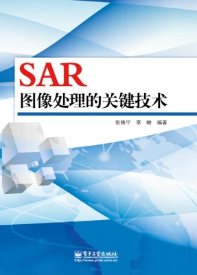 SAR图像处理的关键技