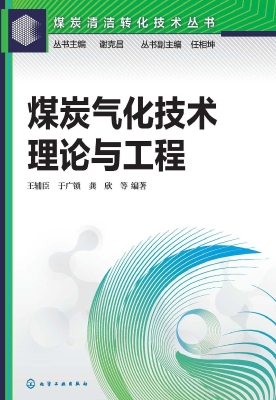 煤炭气化技术：理论与工