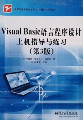 Visual Basic语言程序