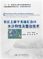 长江上游干支流汇合口