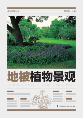地被植物景观