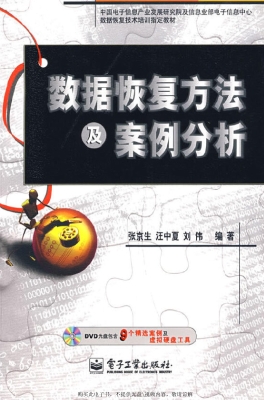 数据恢复方法及案例分