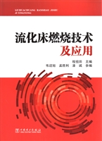 流化床燃烧技术及应用