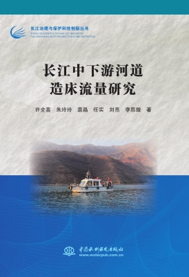 长江中下游河道造床流