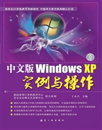 中文版Windows XP实例