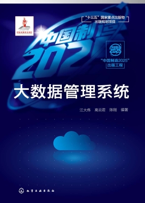 大数据管理系统