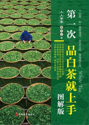 第一次品白茶就上手（图