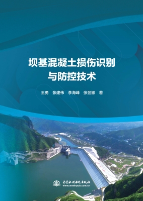 坝基混凝土损伤识别与