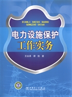电力设施保护工作实务