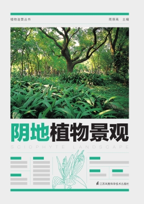 阴地植物景观