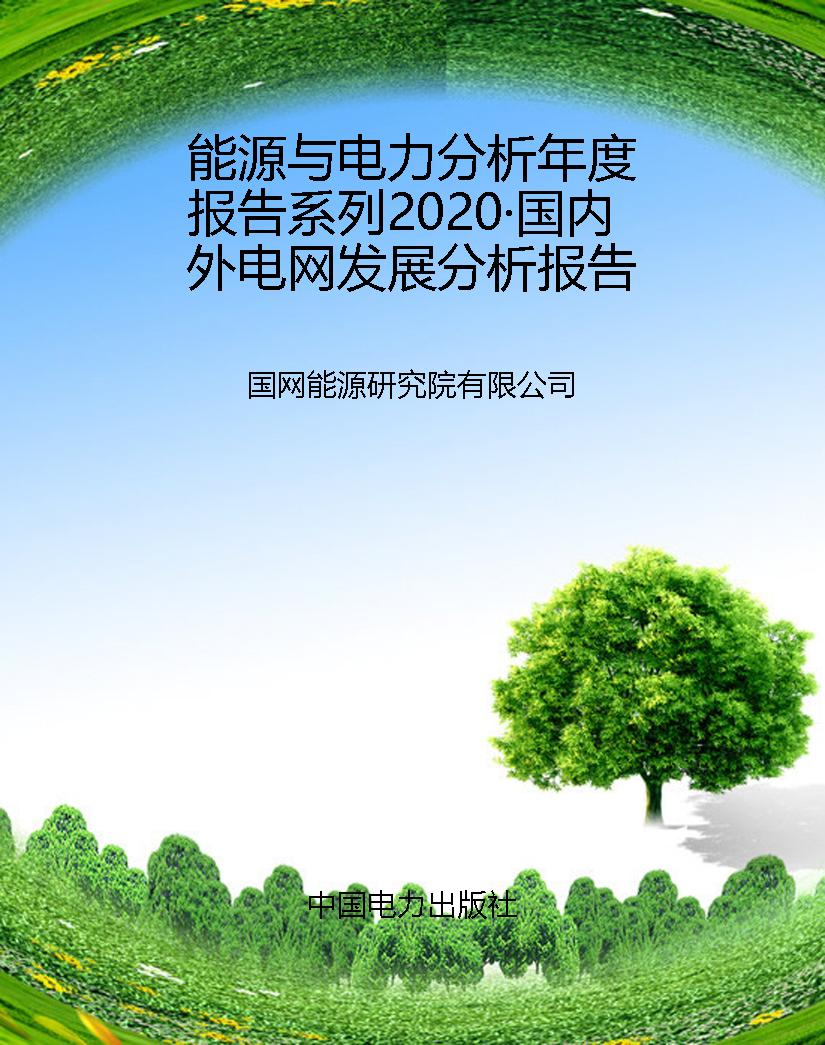 能源与电力分析年度报