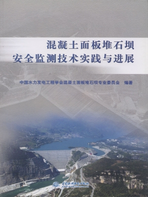 混疑土面板堆石坝安全