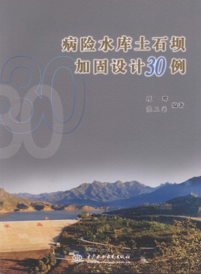 病险水库土石坝加固设