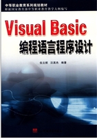 Visual Basic编程语言