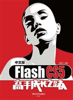中文版Flash CS5高手