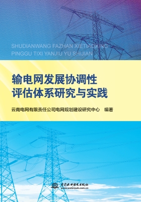 输电网发展协调性评估