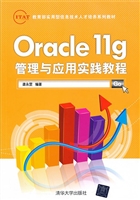 Oracle 11g管理与应用