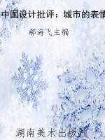 中国设计批评：城市的表