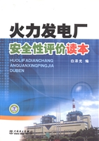 火力发电厂安全性评价