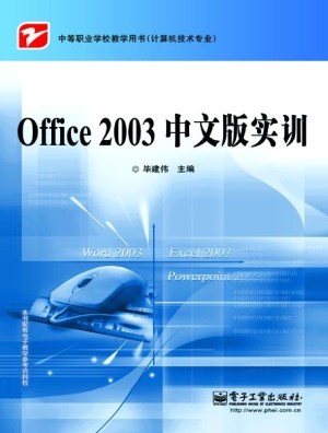 Office 2003中文版实