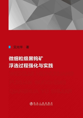 微细粒级黑钨矿浮选过