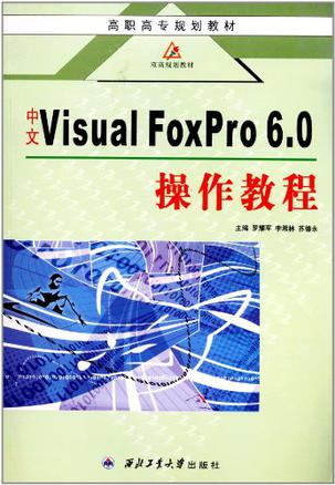 中文 Visual FoxPro 6