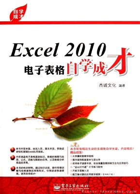 Excel 2010电子表格自
