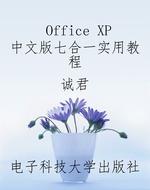 Office XP中文版七合
