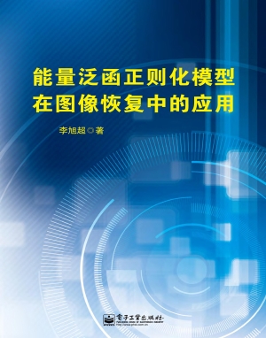 能量泛函正则化模型在