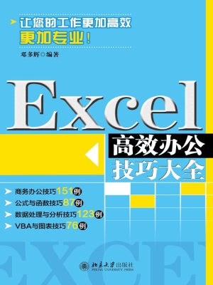 Excel高效办公技巧大