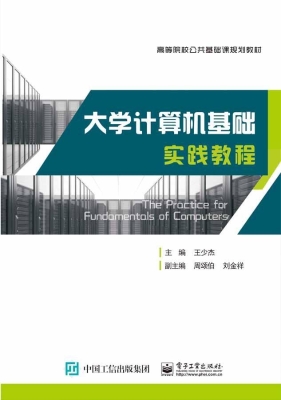 大学计算机基础实践教