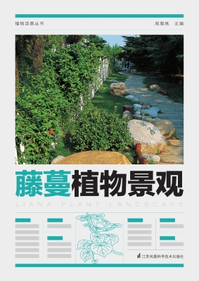 藤蔓植物景观