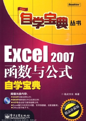 Excel 2007函数与公式