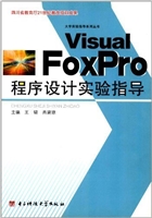 Visaul FoxPro程序设