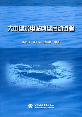 大中型水电站典型启动