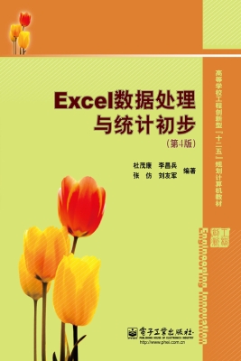 Excel数据处理与统计