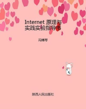 Internet 原理与实践