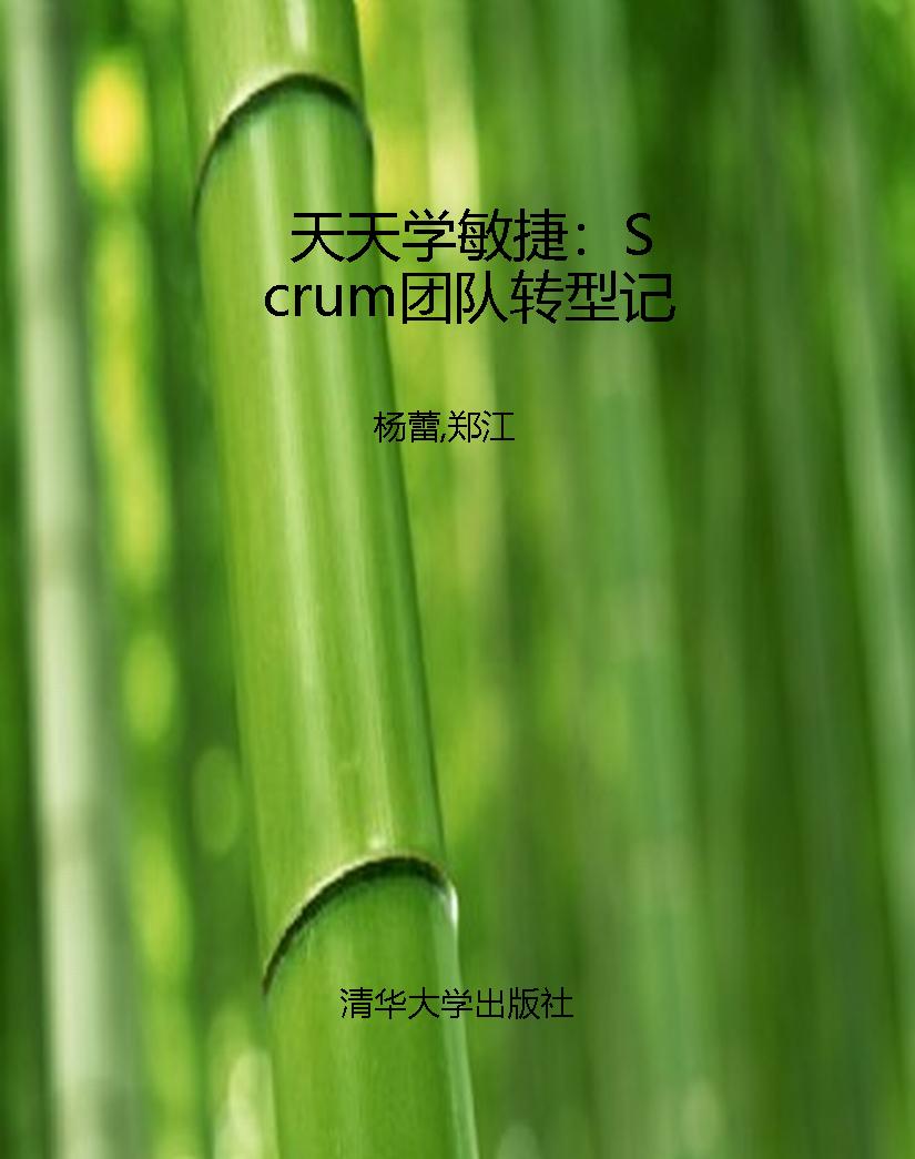 天天学敏捷：Scrum团队