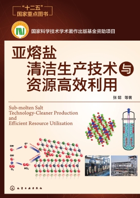 亚熔盐清洁生产技术与