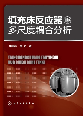 填充床反应器多尺度耦