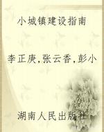 小城镇建设指南