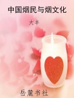 中国烟民与烟文化
