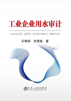工业企业用水审计