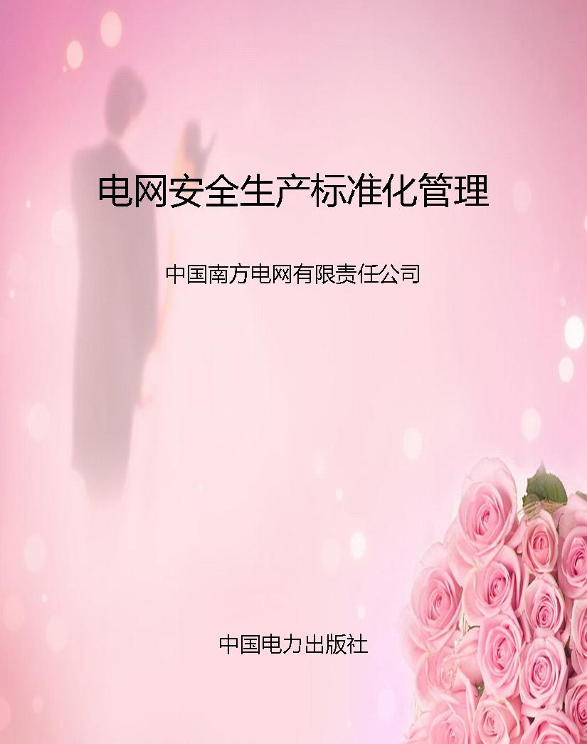 电网安全生产标准化管