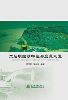 土石坝险情特征与应急