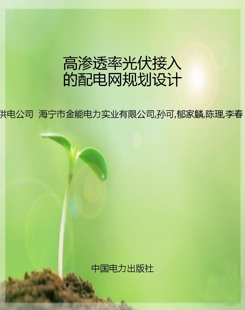 高渗透率光伏接入的配