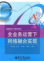 全业务运营下网络融合